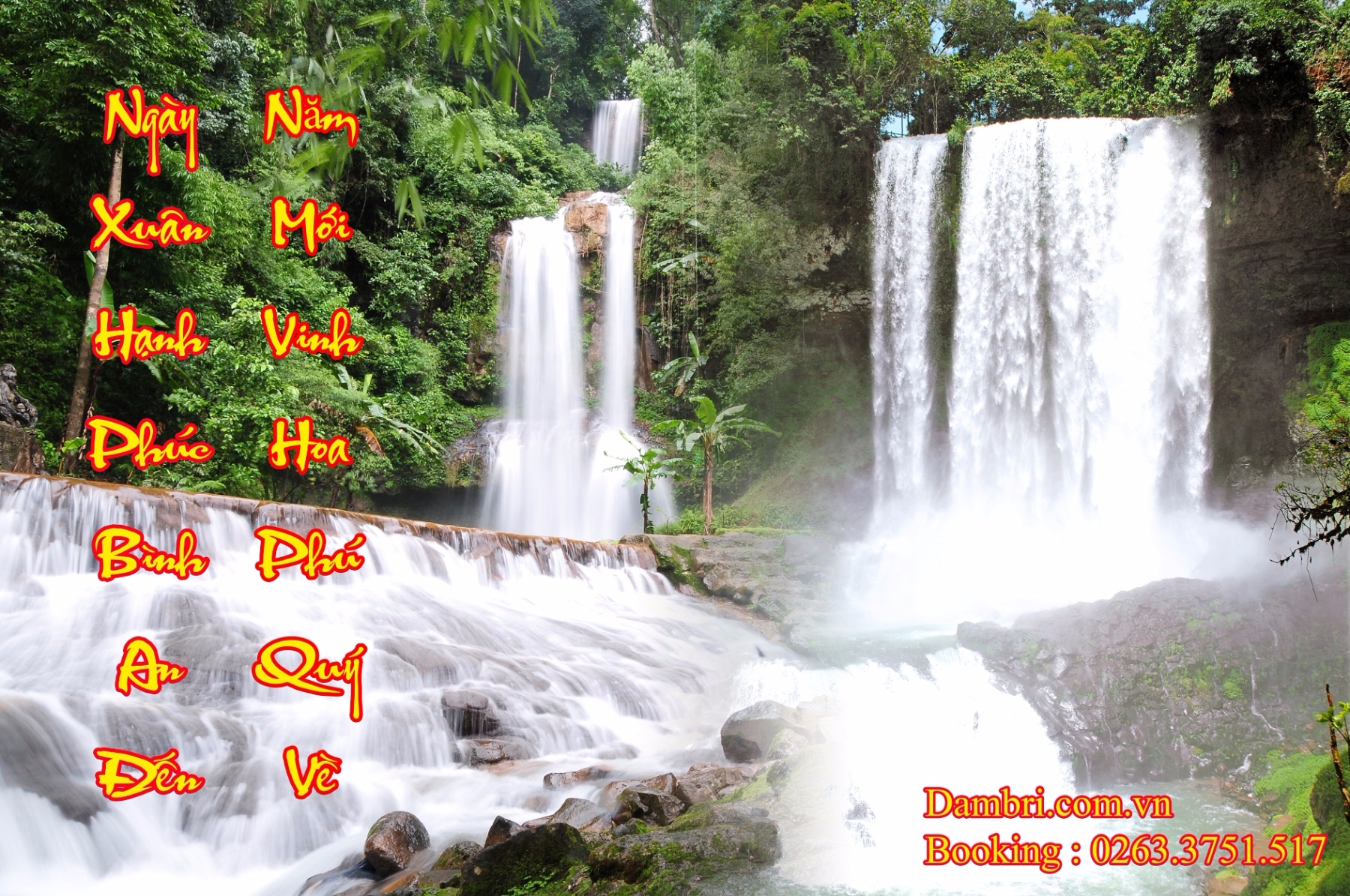 Chúc mừng năm mới
