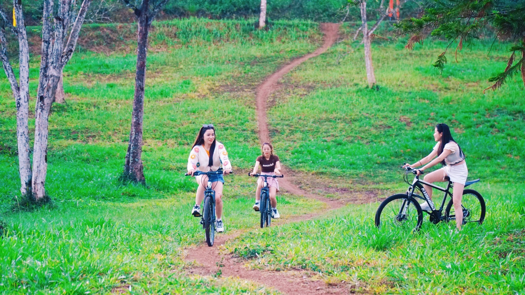 Đạp xe đạp địa hình tại Đamb&rgb(0, 3, 9);ri Eco Glamping